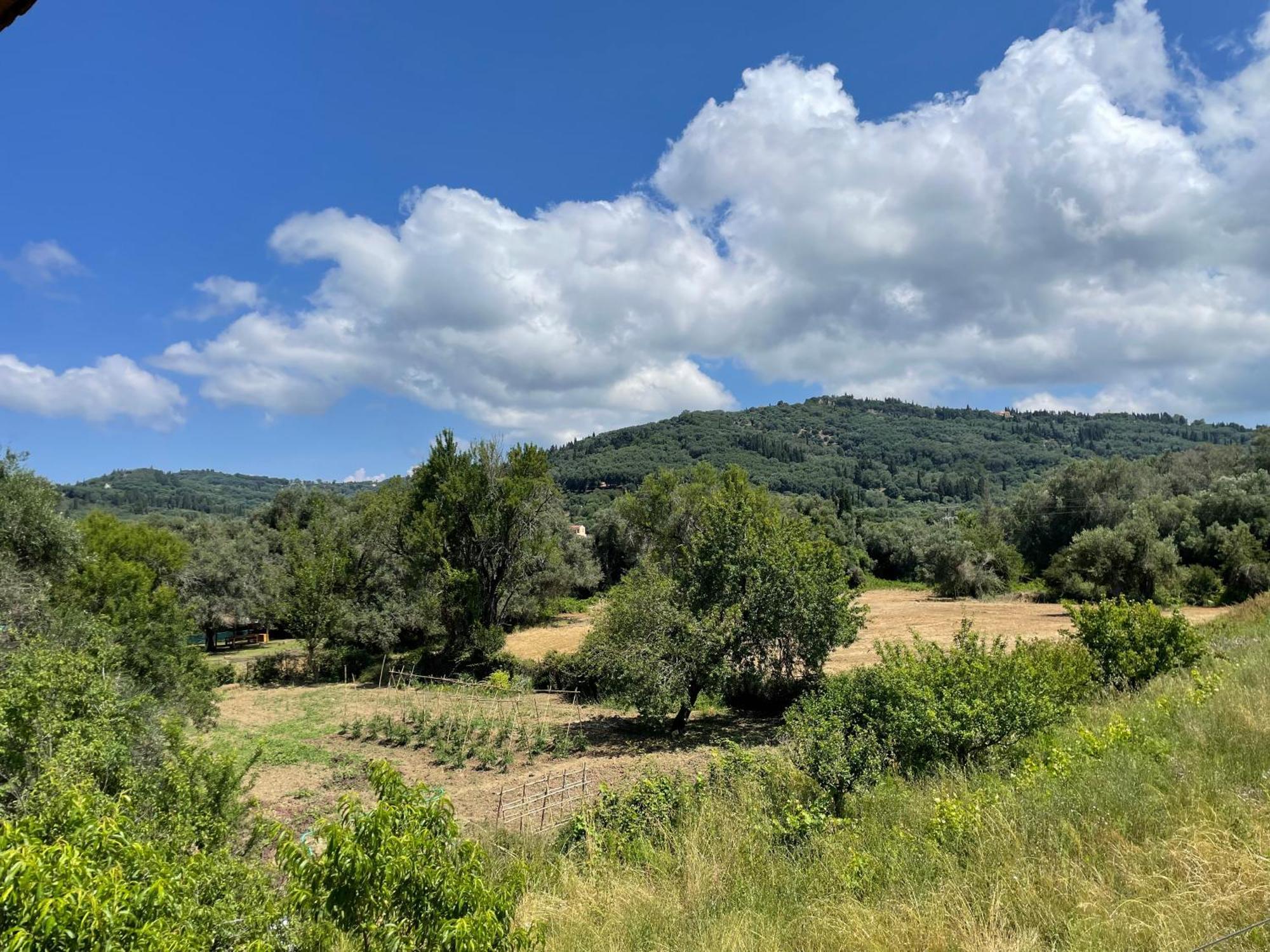 Villa Katerina Agios Georgios Pagon Zimmer foto